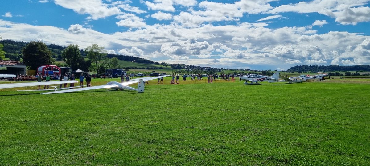 Segler in der Thermik über dem Hegau